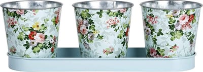 Bloempotjes op tray 3 stuks