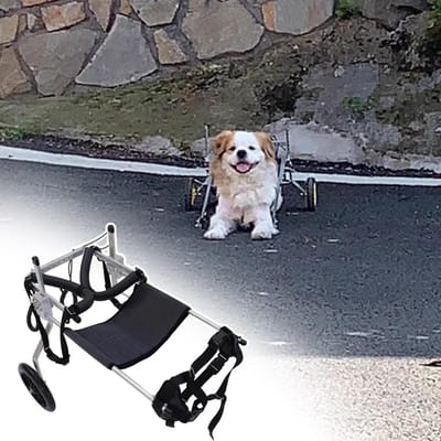 Huisdier Rolstoel - Honden Wandelwagen - Ondersteuning Mobiliteit - Verstelbare Banden - Maat XL