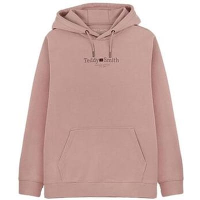 Capuchon sweaters Teddy Smith Jim