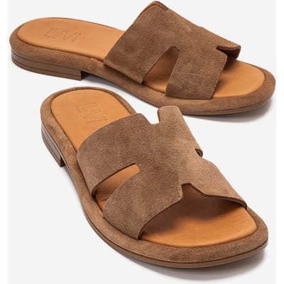 Brio Leren Slide