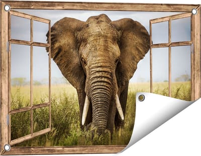 Gards Tuinposter Doorkijk Olifant in het Wild - Kleur - 60x40 cm - Tuindoek - Tuindecoratie - Wanddecoratie buiten - Tuinschilderij