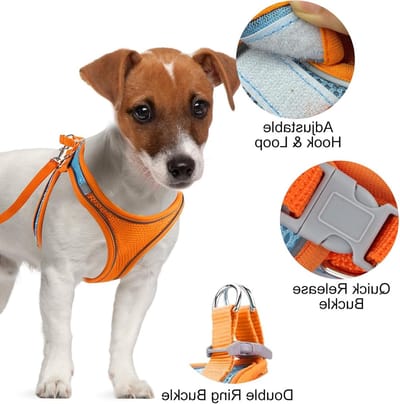 Verstelbare Reflecterende Harnas en Leash Set voor Kleine Honden - Ademend Puppy Harnas van 1.5m (Oranje, 3XL)