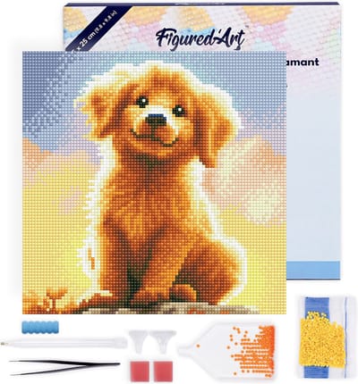 Figured'Art Mini Diamond Painting set Volwassenen 25x25 cm met lijst Schattige Golden Retriever Pup - 5D DIY Art full drill ronde diamant - Canvas al ingelijst
