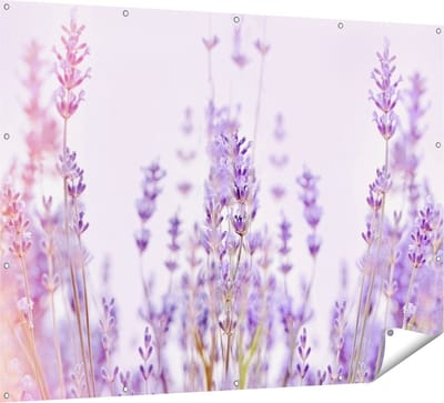 Gards Tuinposter Paarse Lavendel Bloemen - 160x120 cm - Tuindoek - Tuindecoratie - Wanddecoratie buiten - Tuinschilderij