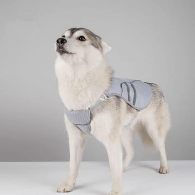 Famanu - Koelvest voor honden, hondenkoeljas, koelharnas, jas, ademend mesh voor puppy's en honden