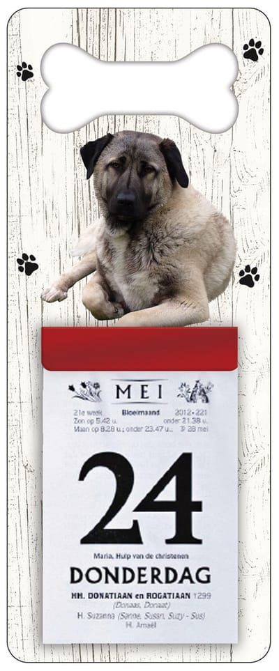 Scheurkalender 2027 Hond: Kangal