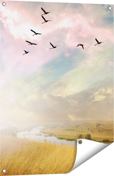 Gards Tuinposter Groep Vogels Vliegen Boven het Gras - 60x80 cm - Tuindoek - Tuindecoratie - Wanddecoratie buiten - Tuinschilderij
