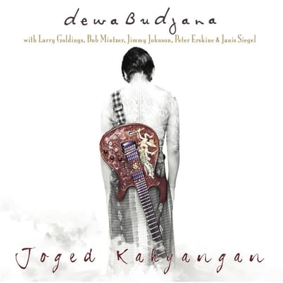 Dewa Budjana With Jimmy Johnson & Vinnie Colaiuta - Surya Namaskar (LP)