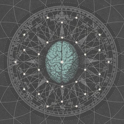 Bipolar Architecture - Metaphysicize (LP)