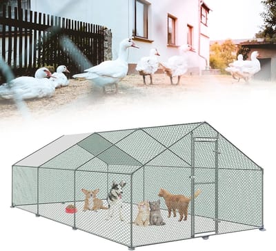 NAIZY Vrije uitloopren 3x6x2m volière kippenhok metaal 6m² pluimveekooien met zonwerend dak, kippenhek, deur & klink buitenren kippenhokken stabiele pluimveestallen voor kleine dieren & planten