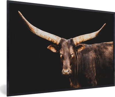 Fotolijst incl. Poster - Koe- Watussi - Zwart - 60x40 cm - Posterlijst