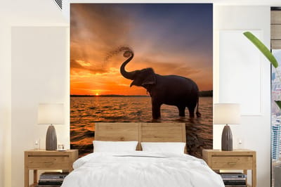 Behang - Fotobehang Olifant - Zee - Dieren - Zonsondergang - Oranje - Breedte 160 cm x hoogte 220 cm
