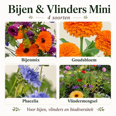 Bio Bloemenzaad Bijen en Vlinders Mini – 4 Soorten Bloemenzaden – Bijenmix, Vlindermengsel, Phacelia en Goudsbloem
