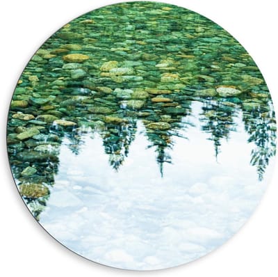 Dibond Wandcirkel - Weerspiegeling van Bomen in Water - 80x80cm Foto op Aluminium Wandcirkel (met ophangsysteem)