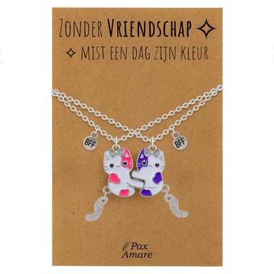 BFF Ketting voor 2 'Zonder Vriendschap mist een dag zijn kleur' - Magnetische Katjes - Vriendschapsketting op Cadeau Kaartje - 45cm + 5cm verstelbaar - Zilverkleurig - Best Friends Hanger - Pax Amare