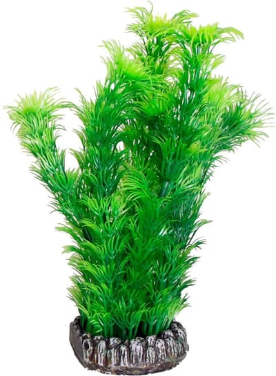 Flamingo - Aquariumdecoratie plant Sri Lanka - Assorti - L - 11 x 11 x 28 cm