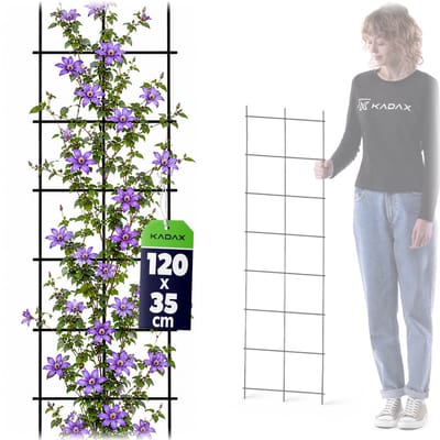 KADAX Trellis, klimhulp van staal, wandrooster voor planten, tuin, balkon, terras, draadgaas, klimhulp, plantenrooster, latwerk, wandbevestiging, zwart (35 x 120 cm)