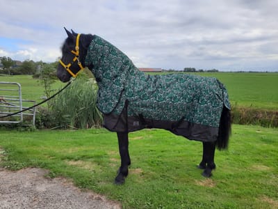 Regendeken luxe met vaste hals 300gram Green/swirl Buitendeken-165