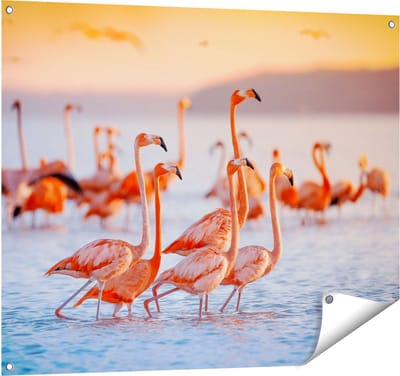 Gards Tuinposter Kudde Flamingo's in het Water - 100x80 cm - Tuindoek - Tuindecoratie - Wanddecoratie buiten - Tuinschilderij