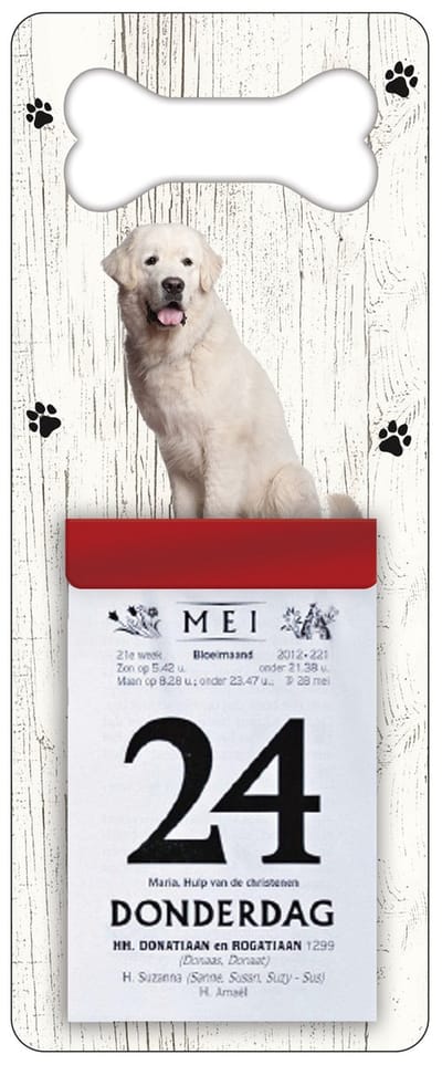 Scheurkalender 2027 Hond: Tatrahond
