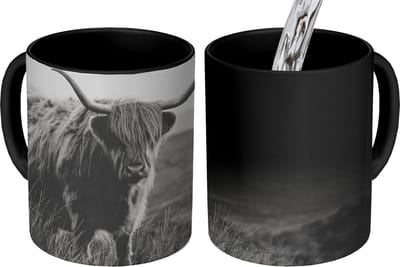 Magische Mok - Foto op Warmte Mokken - Koffiemok - Schotse hooglander - Natuur - Koeien - Dieren - Zwart wit - Magic Mok - Beker - 350 ML - Theemok