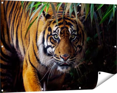 Gards Tuinposter Tijger in de Jungle - 120x80 cm - Tuindoek - Tuindecoratie - Wanddecoratie buiten - Tuinschilderij