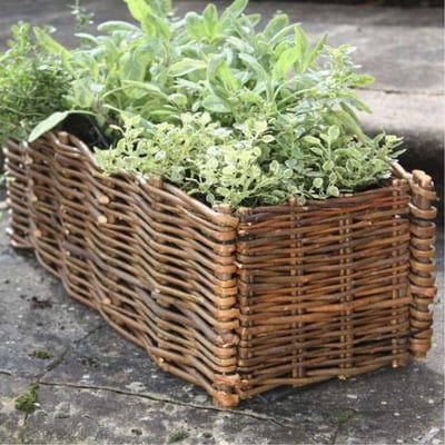 Intergard Moestuinbak plantenbak wilgen 100x35x35cm