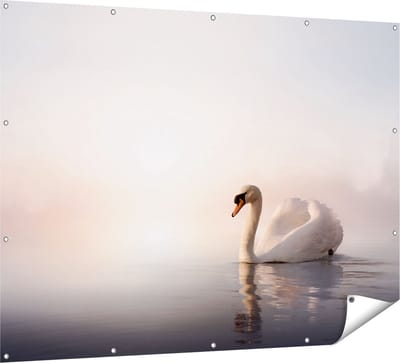 Gards Tuinposter Zwaan in het Water tijdens de Mist - 160x120 cm - Tuindoek - Tuindecoratie - Wanddecoratie buiten - Tuinschilderij