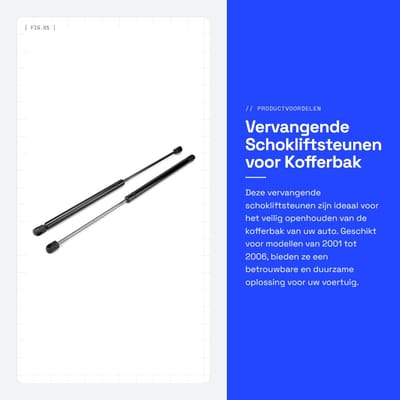 Dailygoods- Gasveer 2 Stuks - Vervangende Gasveren - Schokliftsteunen - Kofferbak Achterklep - Geschikt voor C 2001-2006 - Kofferbakveer