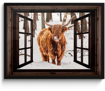 Poster in lijst - Fotolijst 70x50 cm - Posters - Schotse Hooglander - Sneeuw - Natuur - Dieren - Doorkijk - Winter - Posterlijst zwart - Decoratie - Wanddecoratie woonkamer - Muurdecoratie slaapkamer