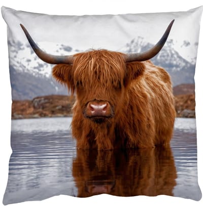 Sierkussens - Kussentjes Woonkamer - 50x50 cm - Schotse hooglander - Bruin - Water