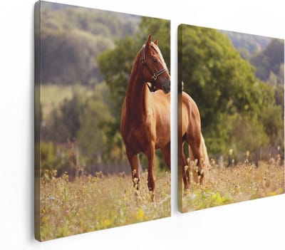 Artaza Canvas Schilderij Tweeluik Bruin Paard In De Wei - 120x80 - Foto Op Canvas - Canvas Print