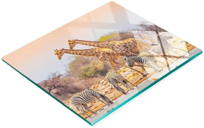 Decoratieve glazen keukensnijplank met giraffe- en zebramotief, 60x52 cm