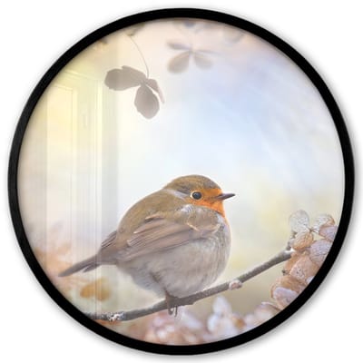 Poster in lijst Rond - Fotolijst 40x40 cm - Posters - Vogel - Tak - Bladeren - Abstract - Ronde posterlijst zwart - Decoratie - Wanddecoratie woonkamer - Muurdecoratie slaapkamer