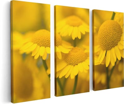 Artaza Canvas Schilderij Drieluik Gele Kamille Bloemen - 120x80 - Foto Op Canvas - Canvas Print