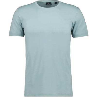 Ragman T-Shirt Uni Solid Round Neck Pima Cotton Mint / male