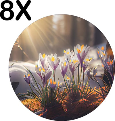 Luxe Ronde Placemat - Krokussen in het Bos - Set van 8 Placemats - 50x50 cm - 2 mm dik Vinyl - Anti Slip - Afneembaar