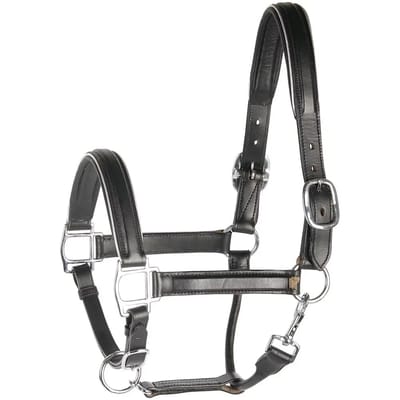 Harry's Horse Halster leder, zwart met bies PONY zilver