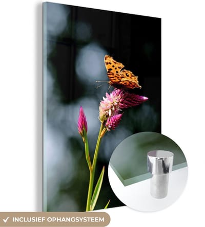 MuchoWow® Glasschilderij 30x40 cm - Schilderij acrylglas - Vlinder - Bloemen - Insecten - Foto op glas - Schilderijen