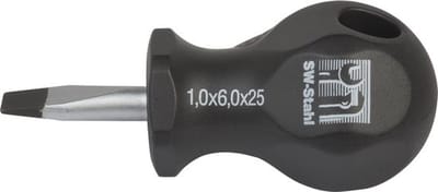 SW-Stahl 31608L schroevendraaiergleuf 6,0 x 25 mm