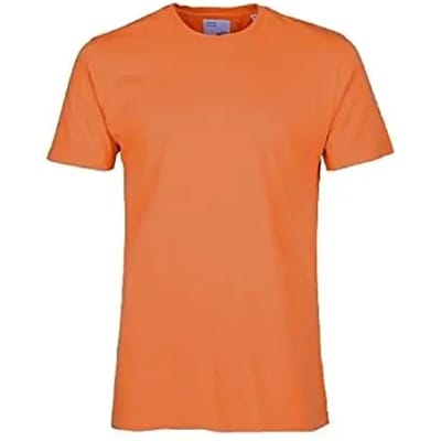 T-shirt Colorful Standard classic organic