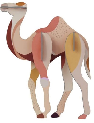 Wild Animals - Camel