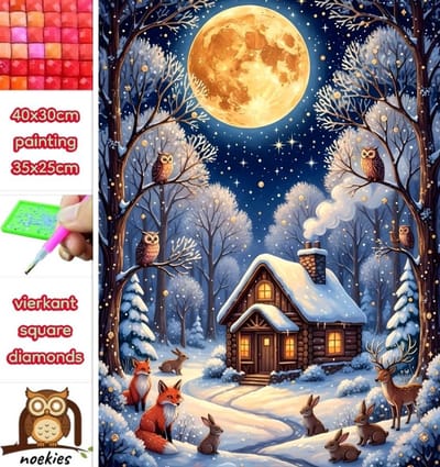 40x30cm Diamond Painting sneeuwhuis dieren (vierkant) nr 200