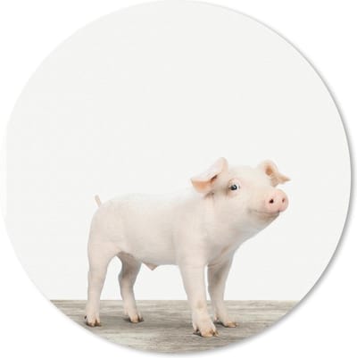 Muismat rond 20x20 cm - Mousepad Dieren - Varken - Baby - Ronde muismatten