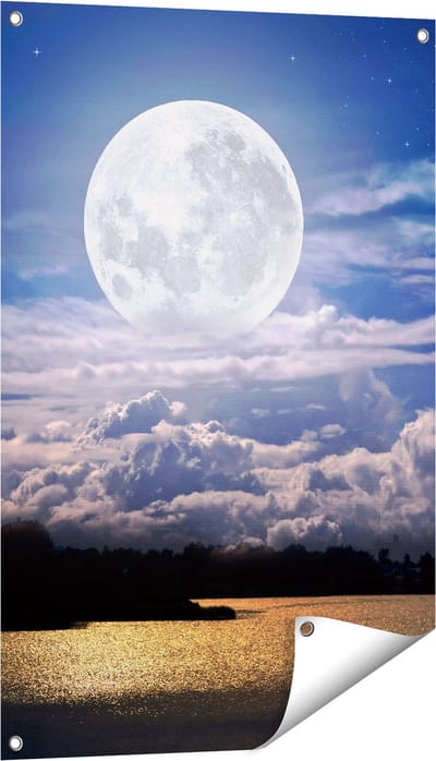 Gards Tuinposter Volle Maan bij het Water - 60x90 cm - Tuindoek - Tuindecoratie - Wanddecoratie buiten - Tuinschilderij