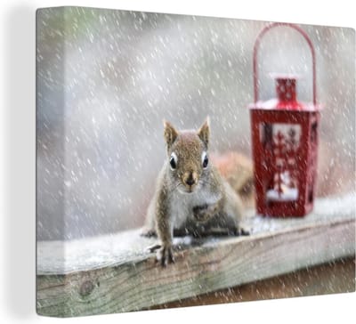 Canvas Schilderij Eekhoorn - Lantaarn - Sneeuwvlok - Winter - 80x60 cm - Wanddecoratie