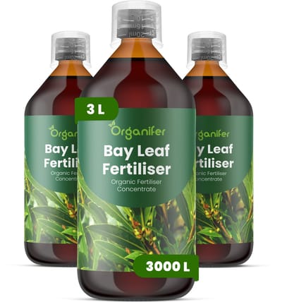 Vloeibare Meststof Voor Laurierblad 3X1 L Voor 3000 L - Npk 3-4-3 - Аromatisch Blad - Gelijkmatige Bladproductie - Sterke Wortelontwikkeling - Hittebestendig - Droogtebestendig - Plantvitaliteit - Herstel Na Snoei - Organifer
