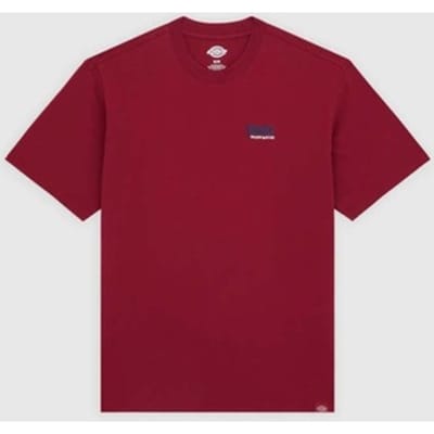 T-shirt Korte Mouw Dickies Dk0a87qdk741