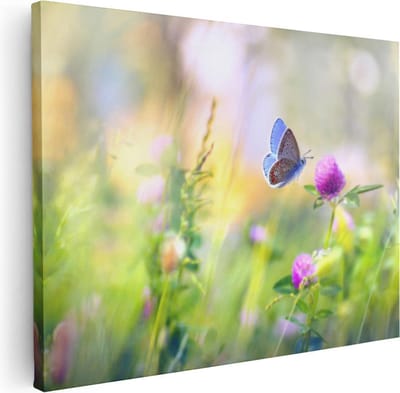 Artaza Canvas Schilderij Klaverbloem - 40x30 cm - Klein - Wanddecoratie Vlinder - Muurdecoratie Natuur - Schilderijen Op Canvas