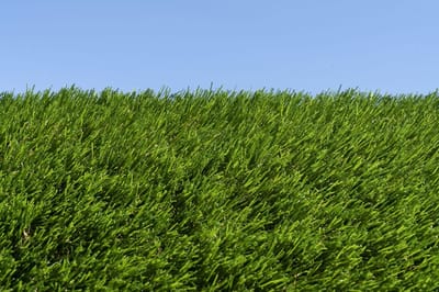 Kunstgras 2 x 4 meter - 40mm ✅ Nederlandse Productie - Uitgeroepen zachtste Grastapijt ✅ Waterdoorlatend | Tuin | Kind | Dier